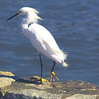 Márcia Cristina Machado - фотограф