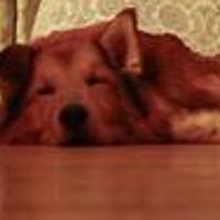 Герман - photographer