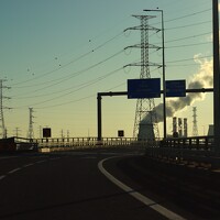 João Patrício - photographer