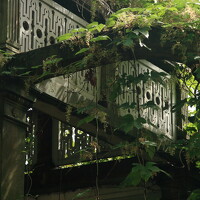 Светлана Дорофеева - photographer