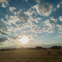 othmen falhi - photographer