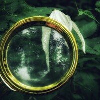 Екатерина Солохина - photographer