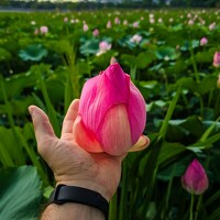 Алексей Ефимов - photographer