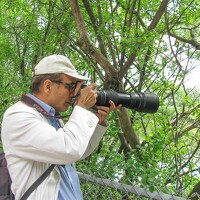 ALI Pashang - photographer