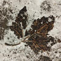 Ельцов Владимир - photographer