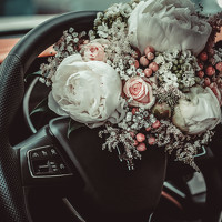 Stefanie Haller - photographer