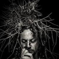 Rafael Ribeiro Monteiro - photographer