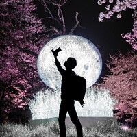 i_ ha__to - photographer