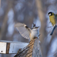 Валерий Лунев - photographer