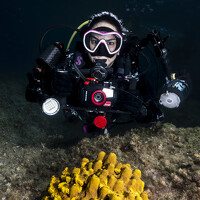 Gozde Karayel - photographer