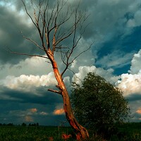 Martin Ice - photographer