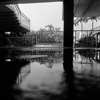João Pedro Bessa Faria - photographer