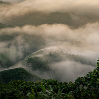 Ngoc Hieu Bui - photographer