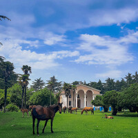 Александра Ельникова - photographer