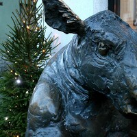 Зинаида Нессеlьманн - photographer