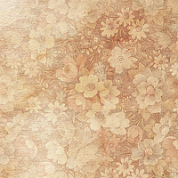 Елена Пичугина - photographer