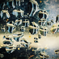 Дмитрий Огольцов - photographer