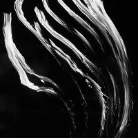 Евгений Наймушин - photographer