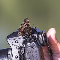 Ренат Минабутдинов - photographer