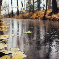 Сергеева Марина - photographer