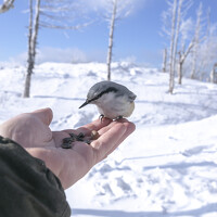 Кузнецов Александр - photographer