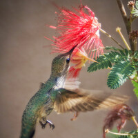 Okselenko Oleg - фотограф