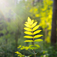 Евгений - photographer