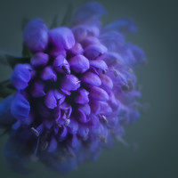 Евгений Кузнецов - photographer