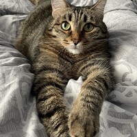 Алия Айткалиева - фотограф