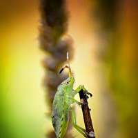 Игорь Иванов - фотограф