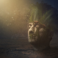  Lewiathan - photographer