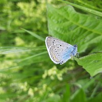 Ксения Детский фотограф - photographer