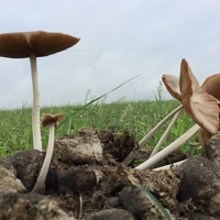 Jayant Movaliya - photographer