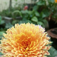 Udit Abhijit - photographer