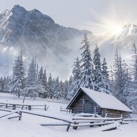 Алексей Вешкурцев - photographer