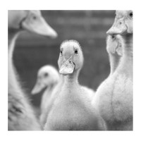 Александр Колбасин - photographer