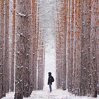 Алексей Проняхин - photographer