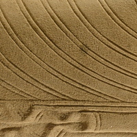 Rajitha Fernando - photographer