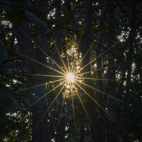 Suryakant Sajjan - photographer