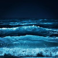 Александра Голикова - photographer