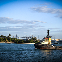 Alfredy Jackson - photographer