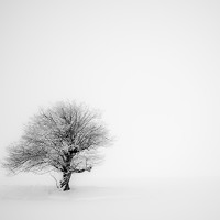 Suren Sarumyan - photographer