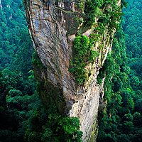 jason rivera - photographer