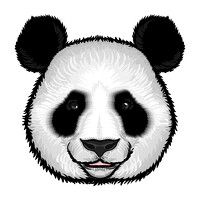 Biggy Man - photographer