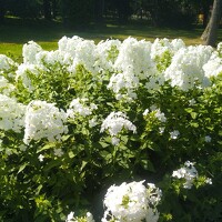 Марина - photographer