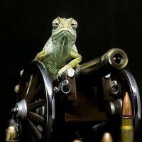 Riad Zbeida - photographer