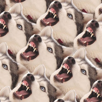 Виктория - фотограф