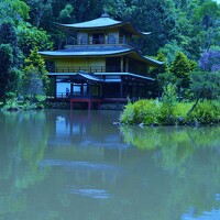 Wan Moraez - photographer