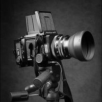 Дмитрий Толоконов - photographer