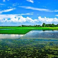 Dipankar Sarkar - photographer